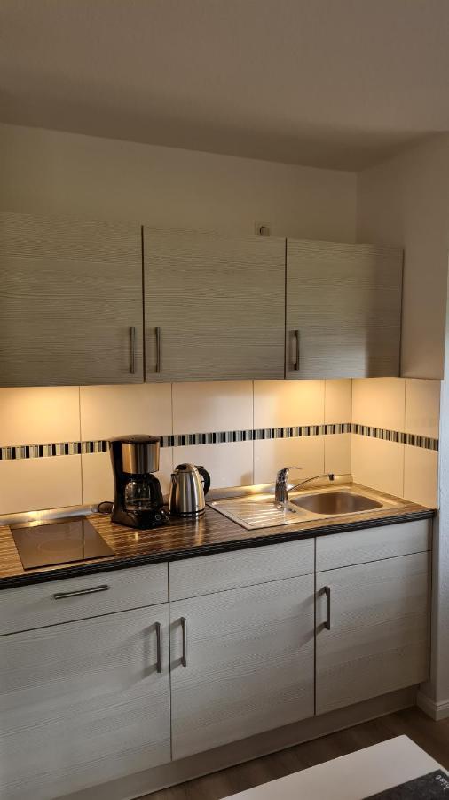 Ferienwohnung Braunlage - Gemuetliche Auszeit 외부 사진